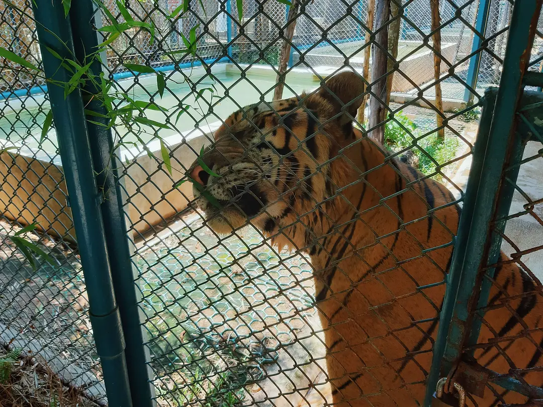 Pattaya-Pattaya, Thailand | Another face of the sexy city that never sleeps