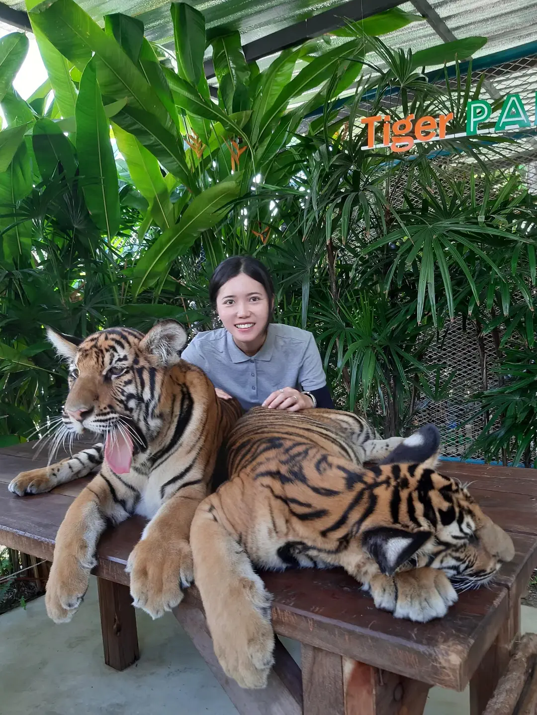 Pattaya-Pattaya, Thailand | Another face of the sexy city that never sleeps