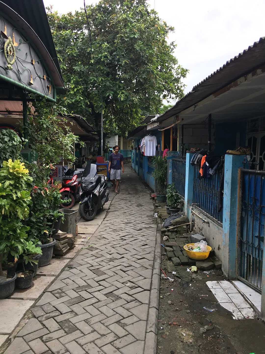 Jakarta-13 days of free travel in Indonesia to experience local halal food and rural life