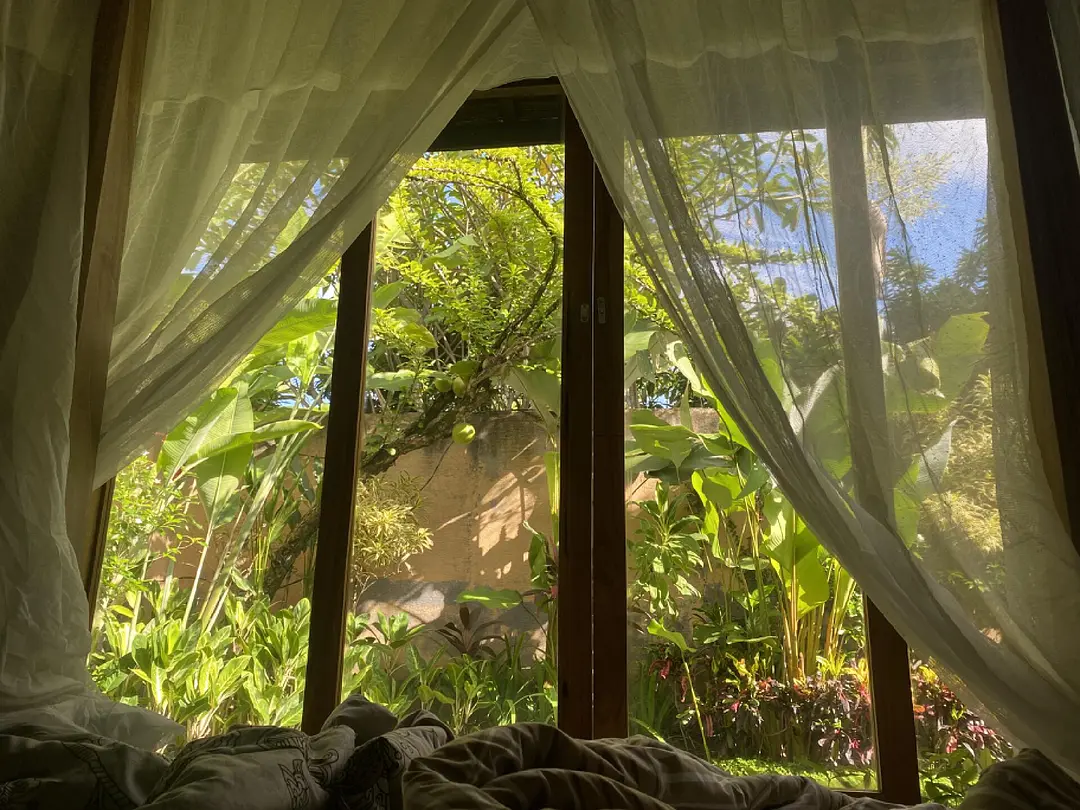 Bali-Bali is a paradise on earth. Only when you have been there will you kn