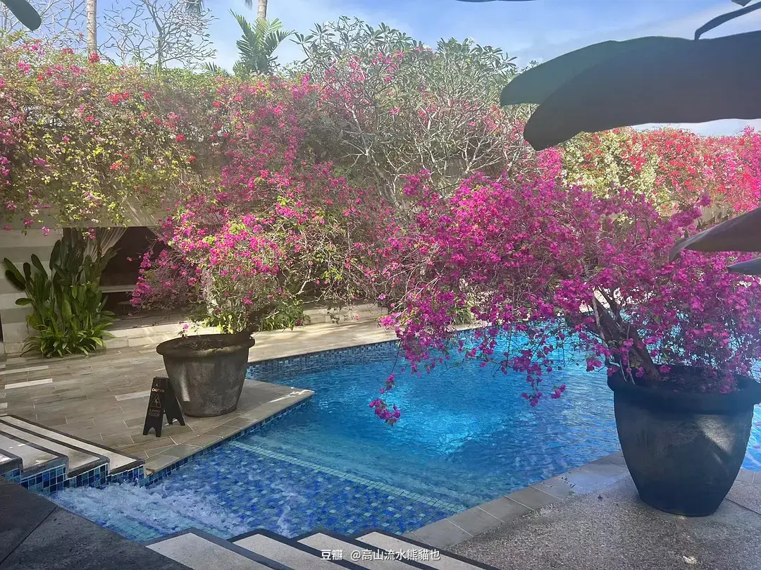 Bali-Strategies for staying safe in Bali in June without hotel reservations for great food