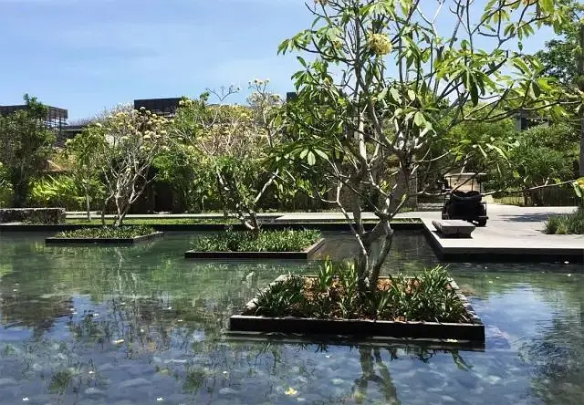 Bali-I flew to Alila Bali and slept there for 3 nights. It’s a hotel where celebrities gather to get married. It really deserves its reputation.