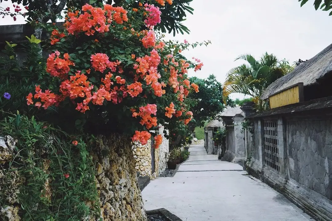 Bali-In Bali, I plant rice, surf, go to the SPA, and sleep until I wake up naturally every day.