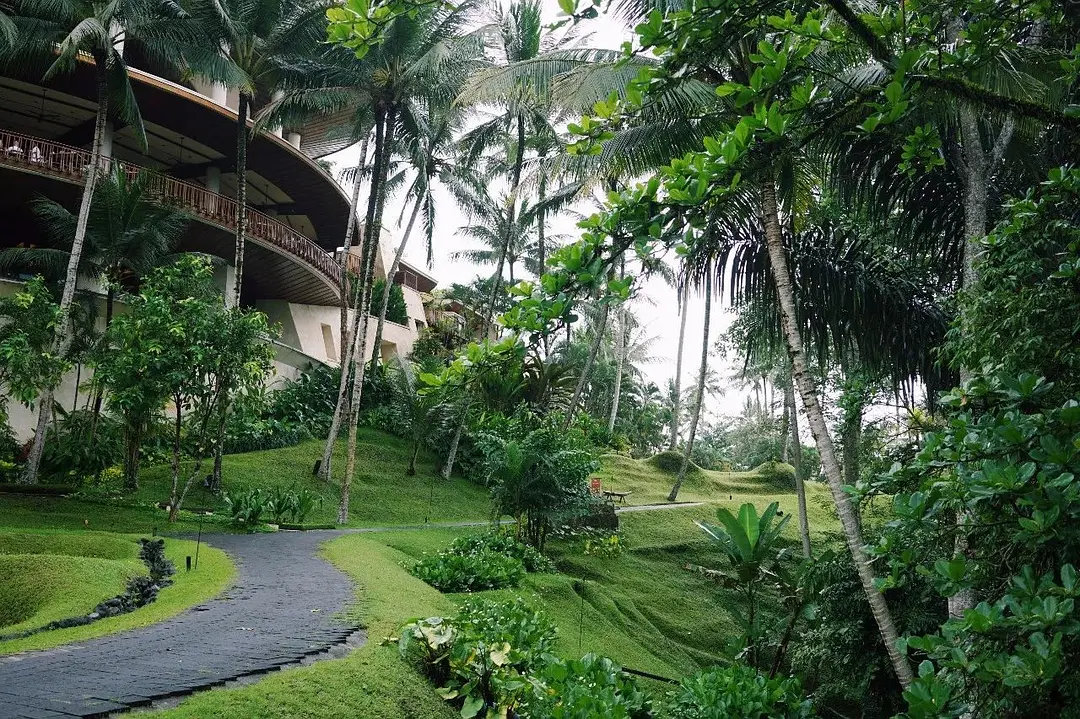 Bali-In Bali, I plant rice, surf, go to the SPA, and sleep until I wake up naturally every day.