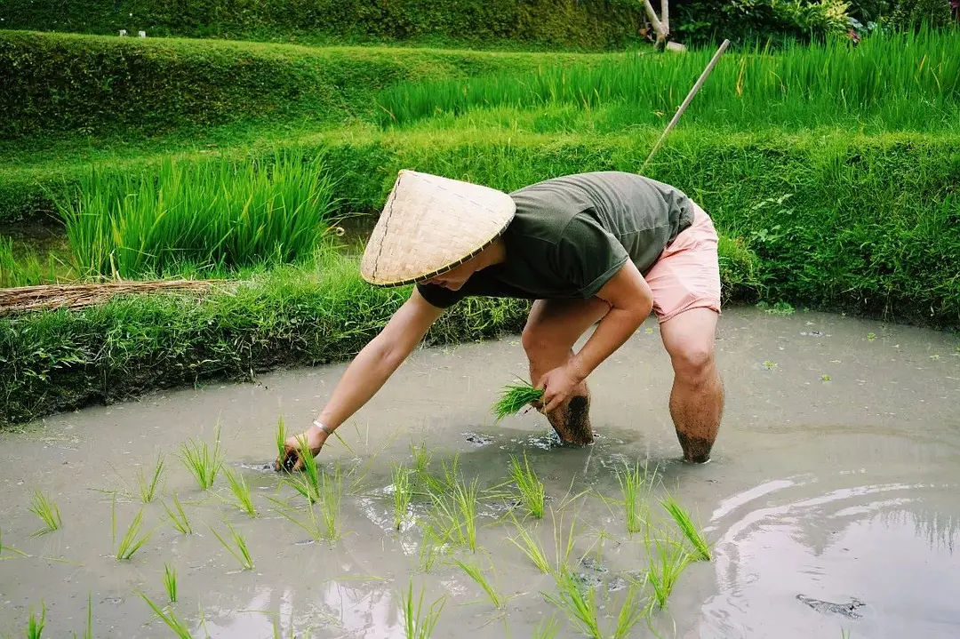 Bali-In Bali, I plant rice, surf, go to the SPA, and sleep until I wake up naturally every day.