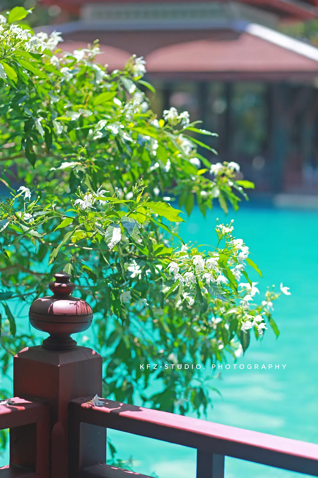 Phuket-Which hotel to stay in? Incomplete selection of hotels in Phuket, Thailand