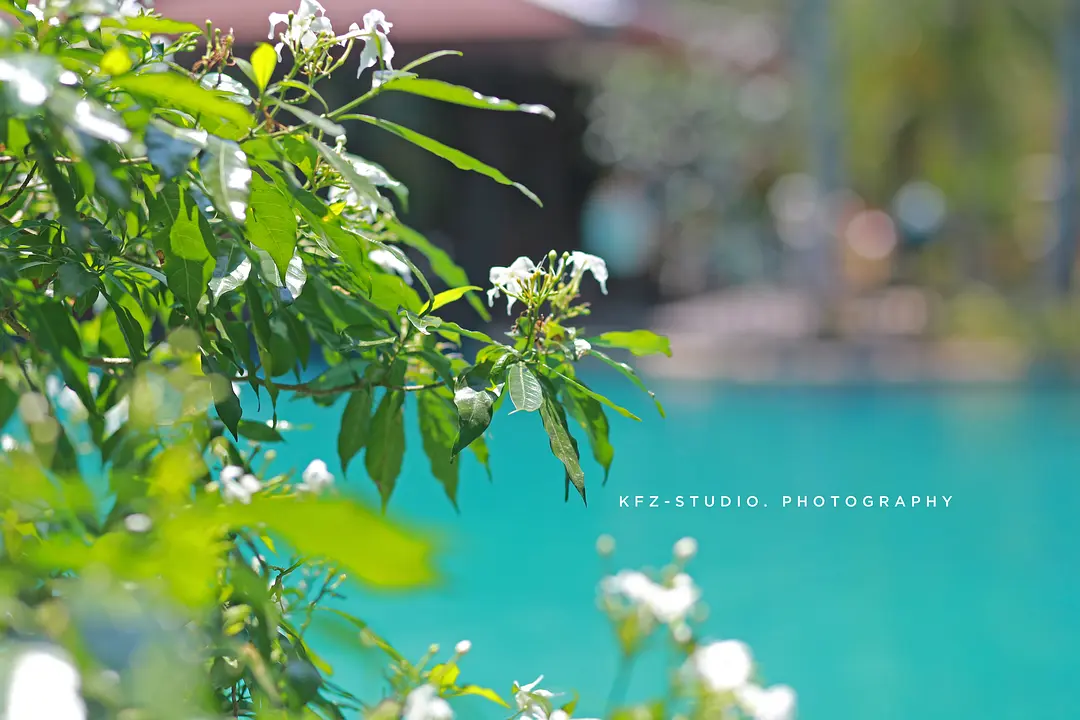 Phuket-Which hotel to stay in? Incomplete selection of hotels in Phuket, Thailand