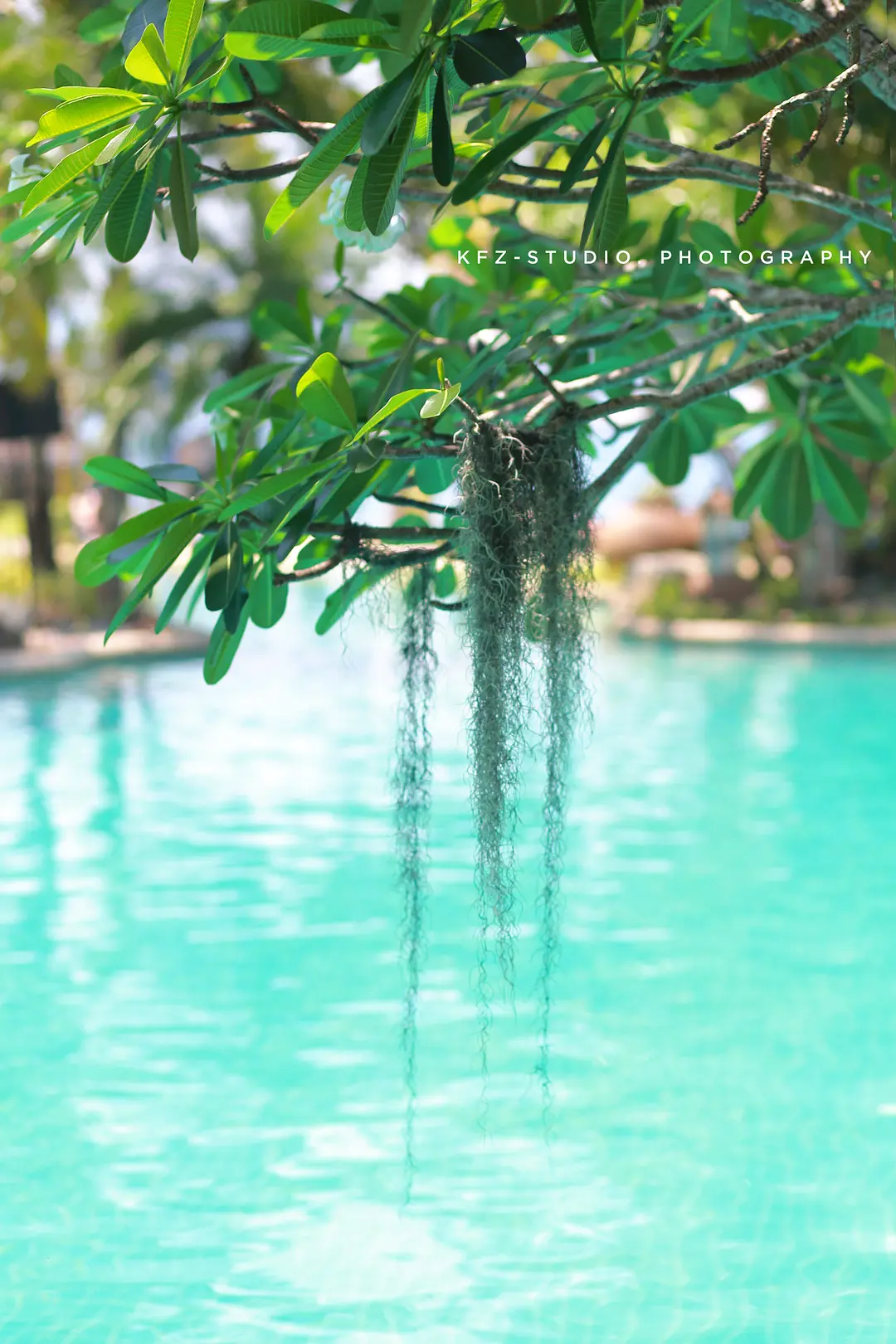 Phuket-Which hotel to stay in? Incomplete selection of hotels in Phuket, Thailand