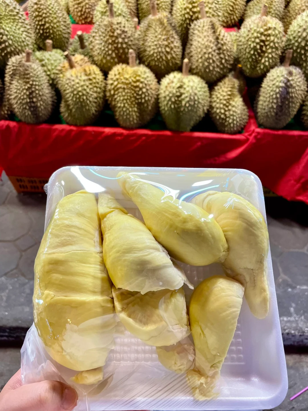Chiang Mai-Alone, 5 days and 4 nights in Chiang Mai with a relaxing mentality
