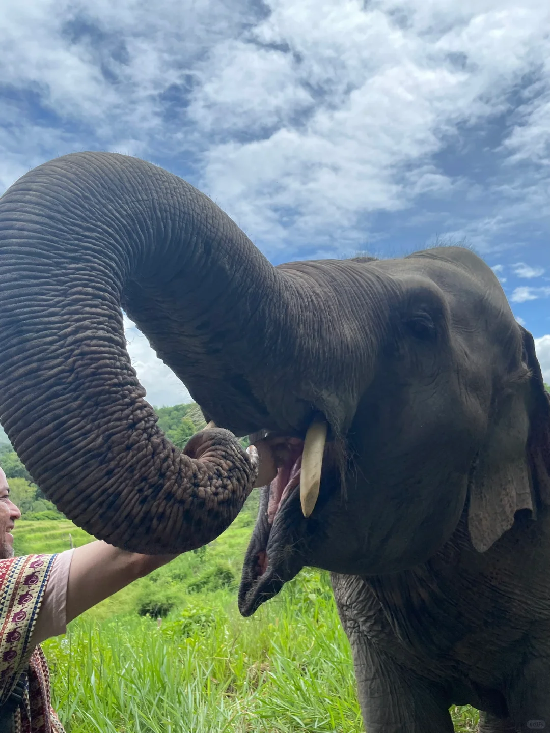 Chiang Mai-Alone, 5 days and 4 nights in Chiang Mai with a relaxing mentality