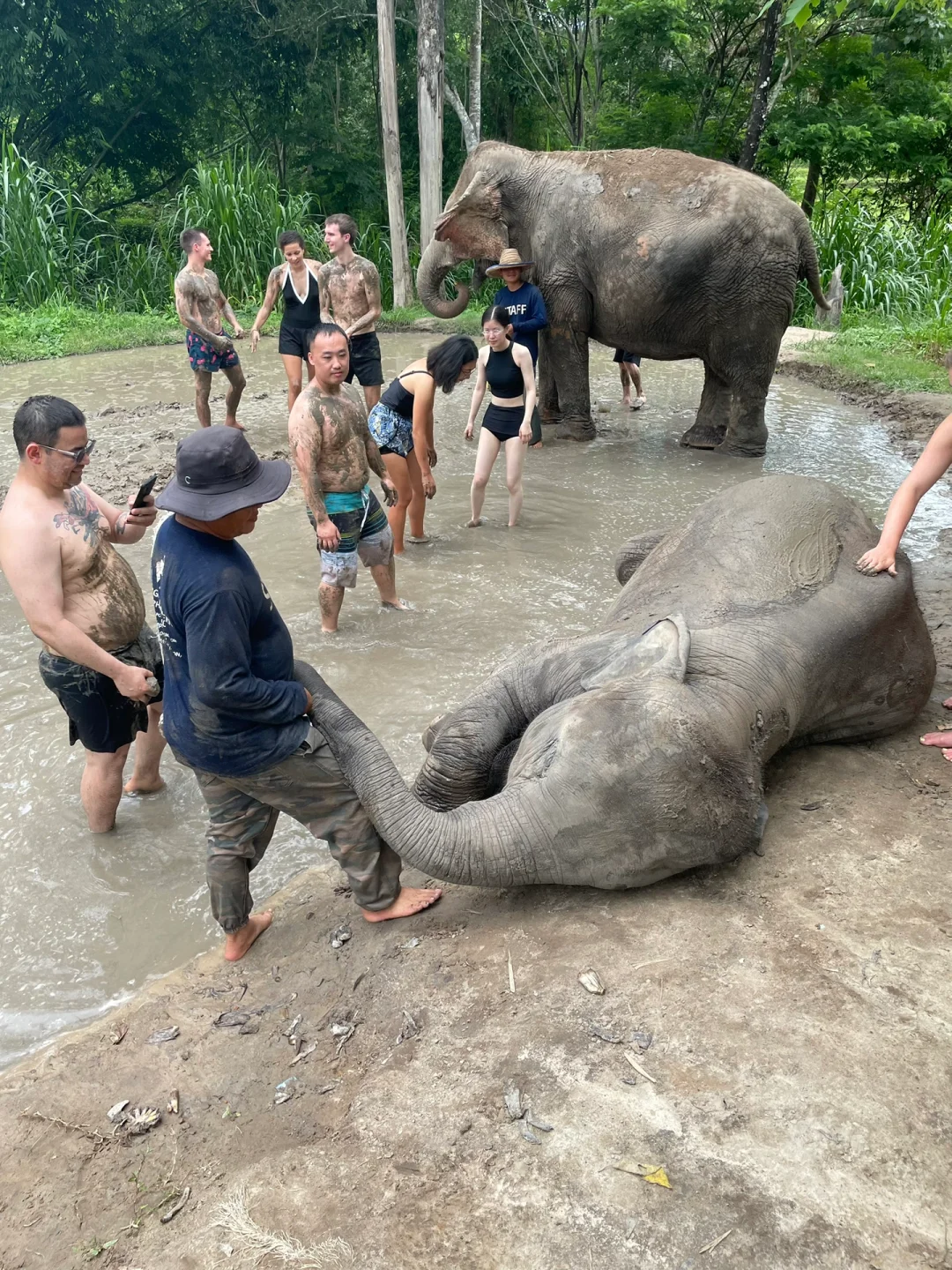 Chiang Mai-Alone, 5 days and 4 nights in Chiang Mai with a relaxing mentality
