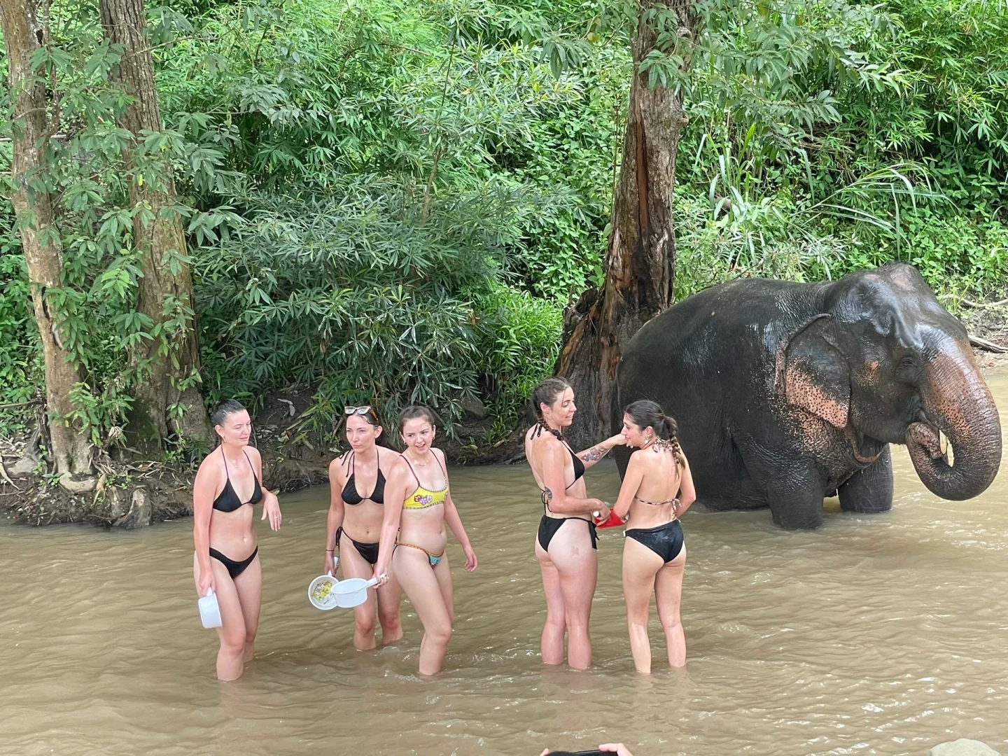 Chiang Mai-Alone, 5 days and 4 nights in Chiang Mai with a relaxing mentality