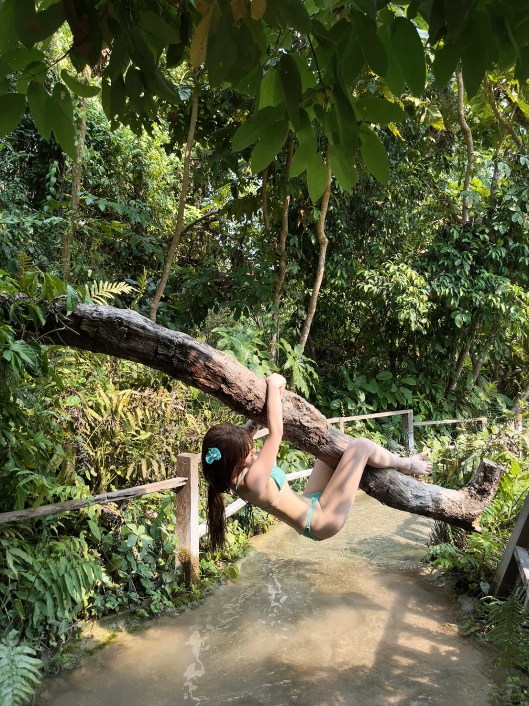 Chiang Mai-Compared to Bangkok, I recommend visiting Chiang Mai 10 times again!