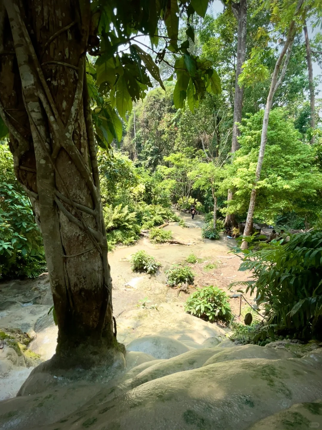 Chiang Mai-Compared to Bangkok, I recommend visiting Chiang Mai 10 times again!
