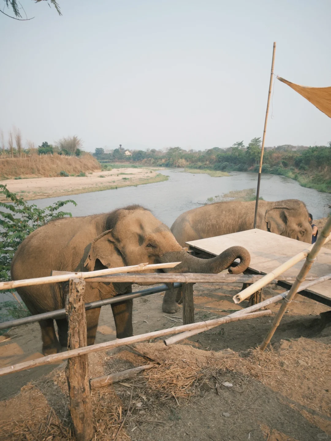 Chiang Mai-Compared to Bangkok, I recommend visiting Chiang Mai 10 times again!