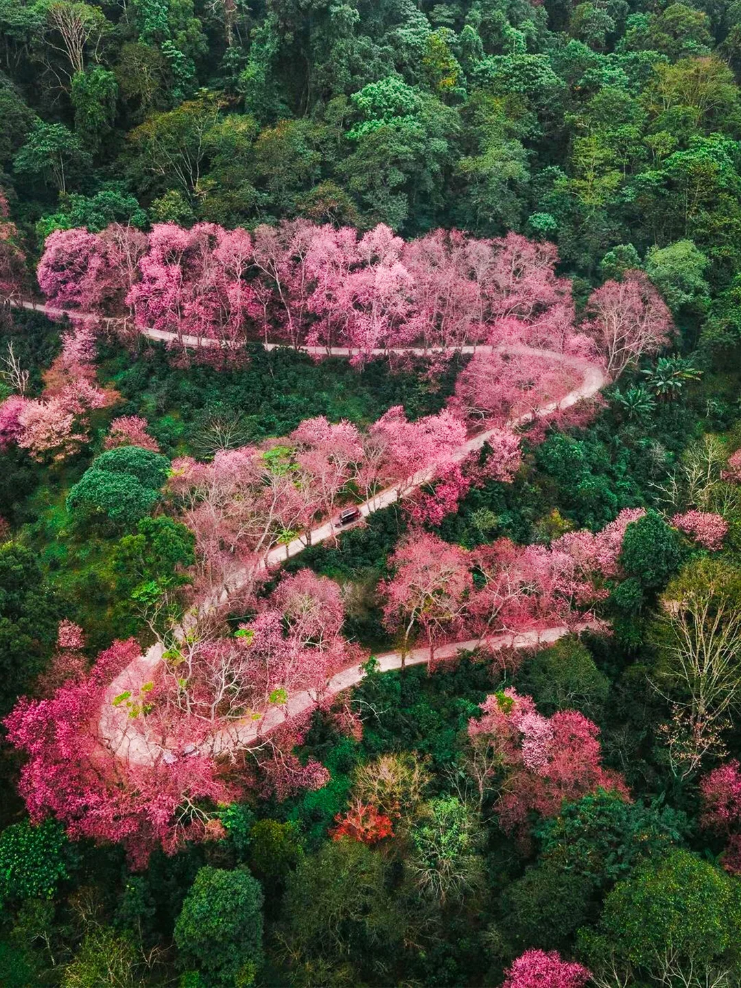 Chiang Mai-Chiang Mai, Thailand! ️The "relaxation" aspect really exists at the top of the tower