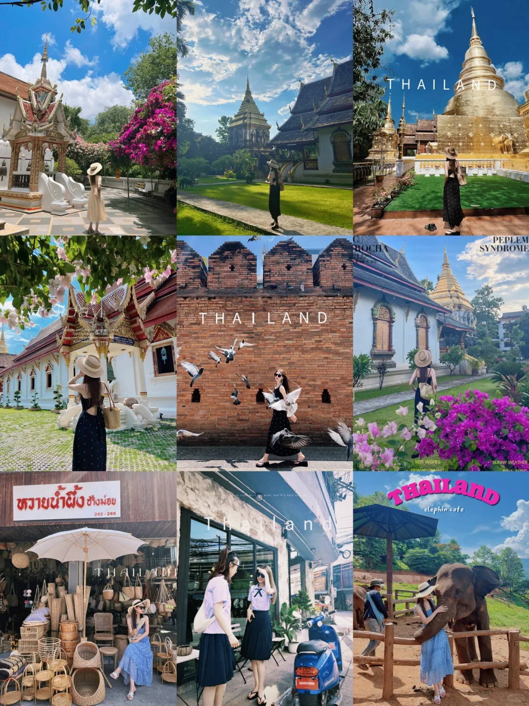 Chiang Mai-Tha Pae Gate, Wat Phra Sin, Wat Chiang Man, Mount Doi Suthep, Wat Doi Suthep, photo tour