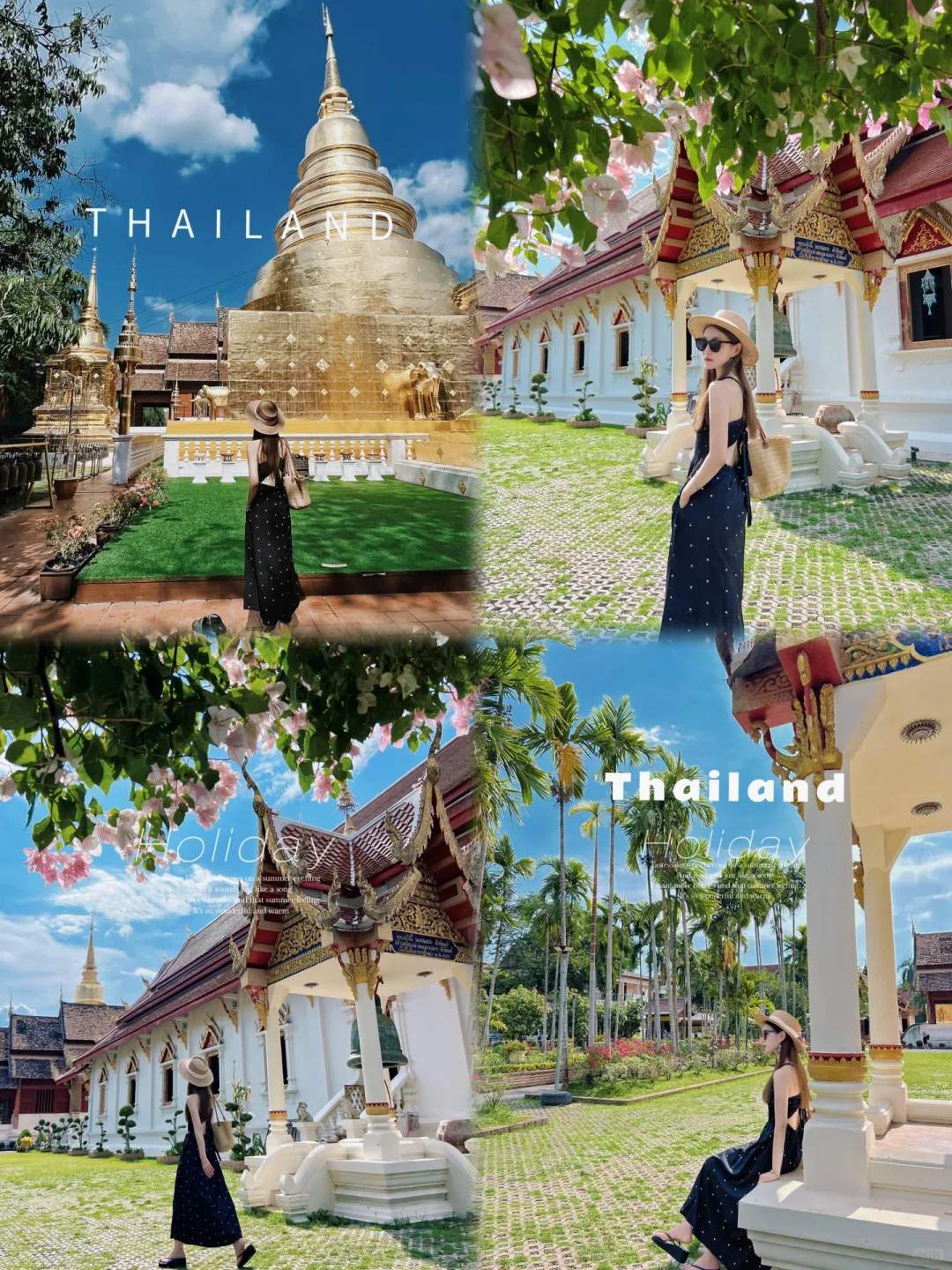 Chiang Mai-Tha Pae Gate, Wat Phra Sin, Wat Chiang Man, Mount Doi Suthep, Wat Doi Suthep, photo tour