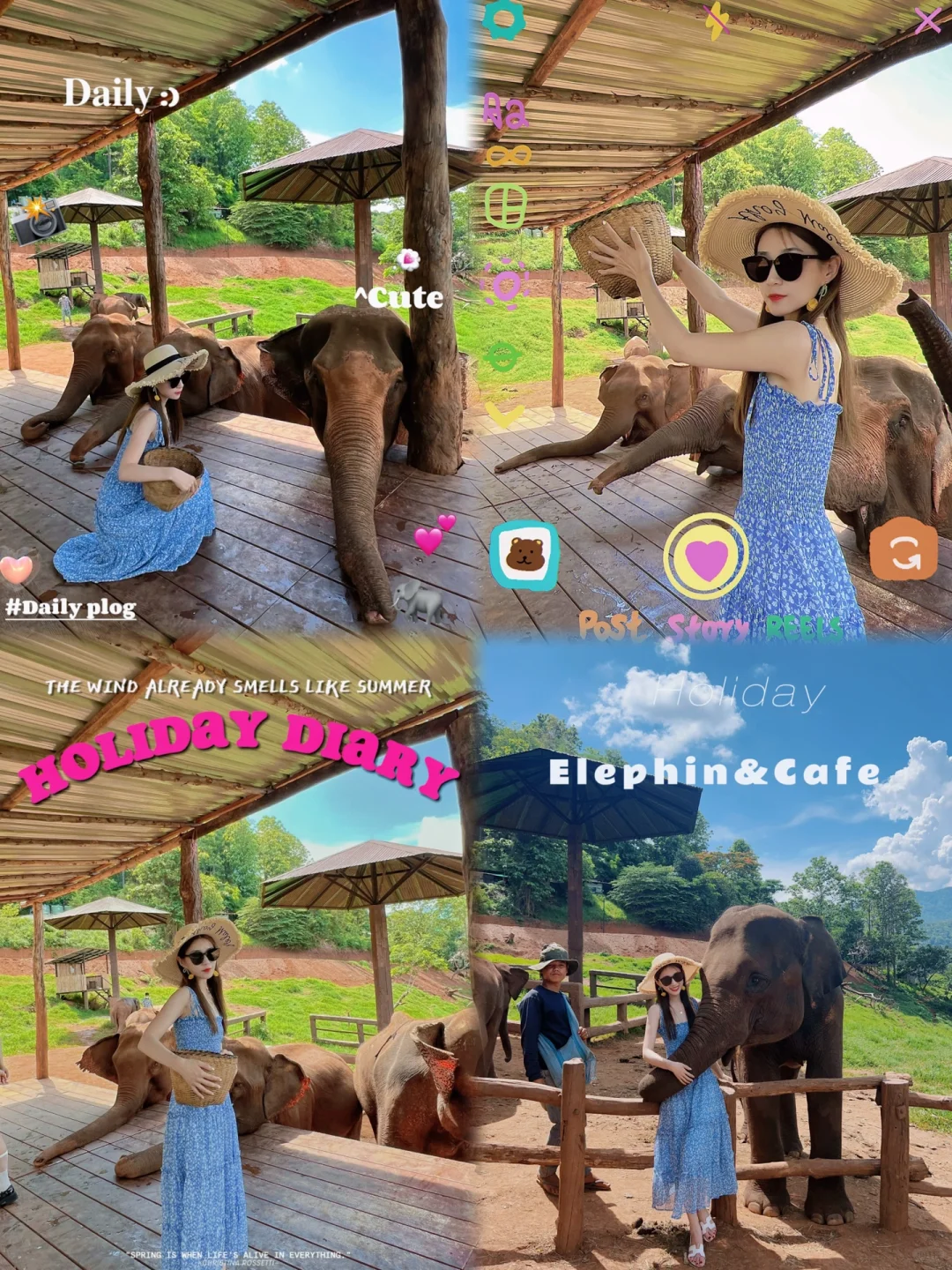 Chiang Mai-Tha Pae Gate, Wat Phra Sin, Wat Chiang Man, Mount Doi Suthep, Wat Doi Suthep, photo tour