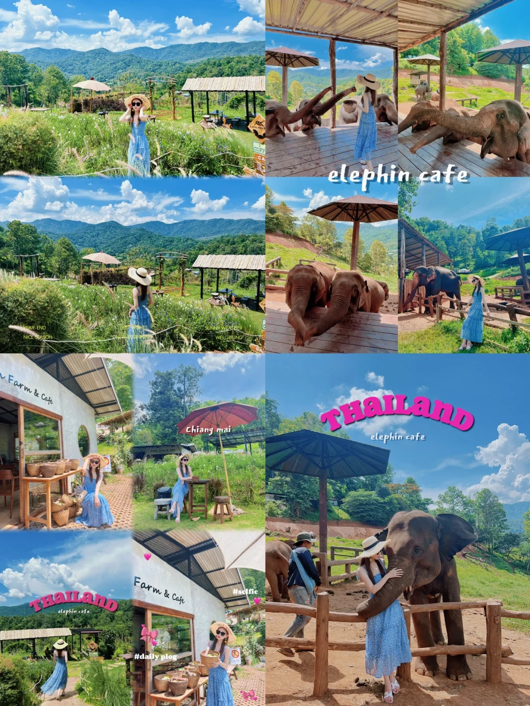 Chiang Mai-Tha Pae Gate, Wat Phra Sin, Wat Chiang Man, Mount Doi Suthep, Wat Doi Suthep, photo tour
