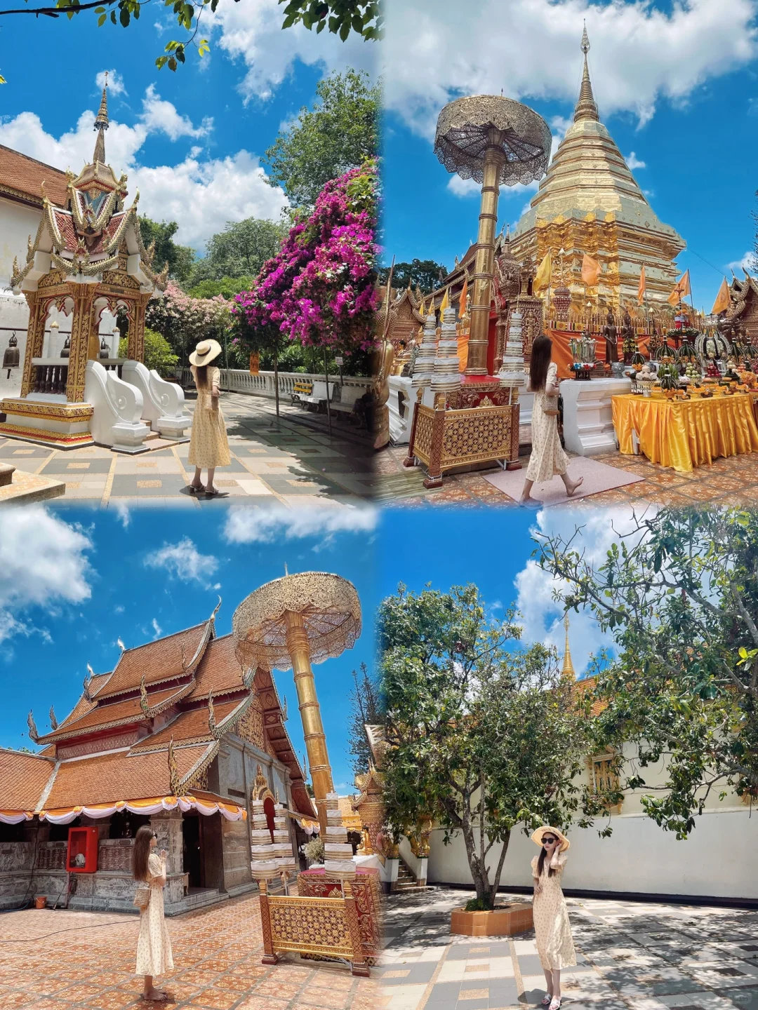 Chiang Mai-Tha Pae Gate, Wat Phra Sin, Wat Chiang Man, Mount Doi Suthep, Wat Doi Suthep, photo tour