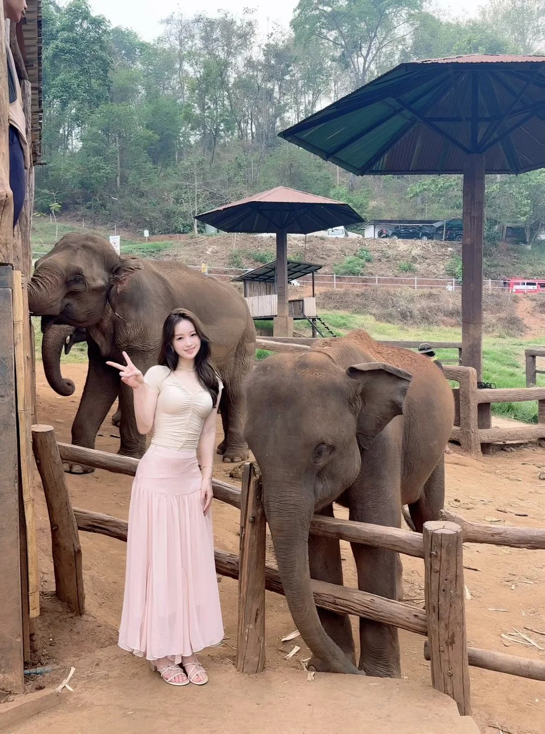 Chiang Mai-Tha Pae Gate, Straw Street, Sticky Waterfall, Tiger Park, Alice Coffee, Elephant Cafe, Chiang Mai University Backdoor Night Market-Jazz Bar