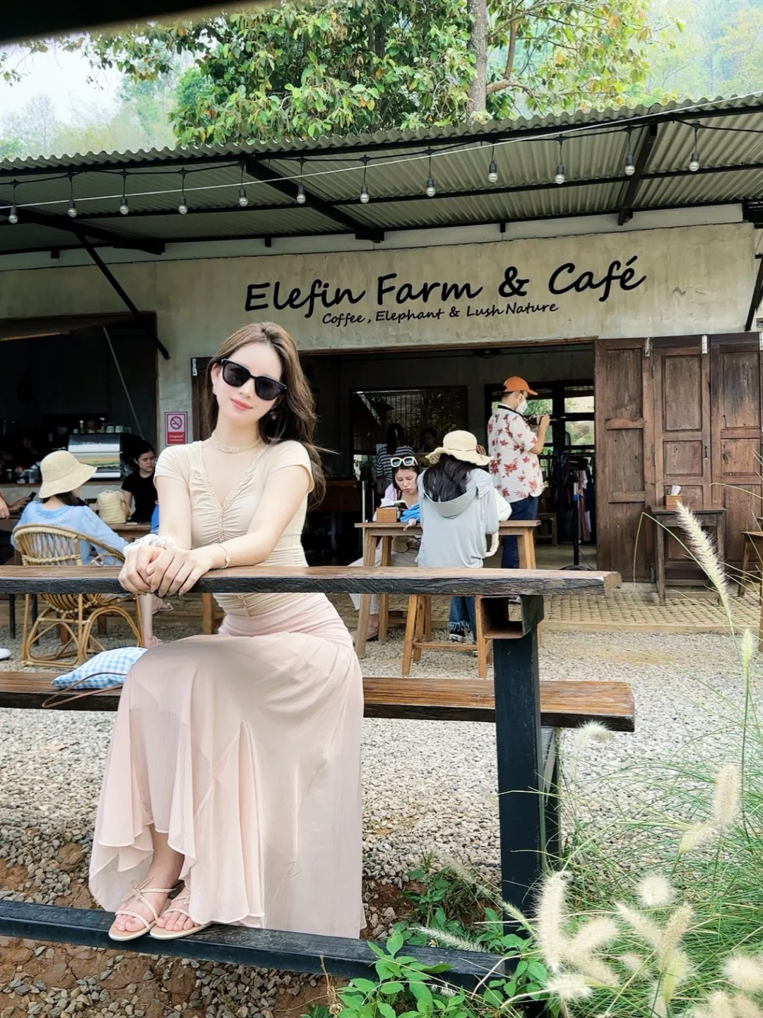 Chiang Mai-Tha Pae Gate, Straw Street, Sticky Waterfall, Tiger Park, Alice Coffee, Elephant Cafe, Chiang Mai University Backdoor Night Market-Jazz Bar