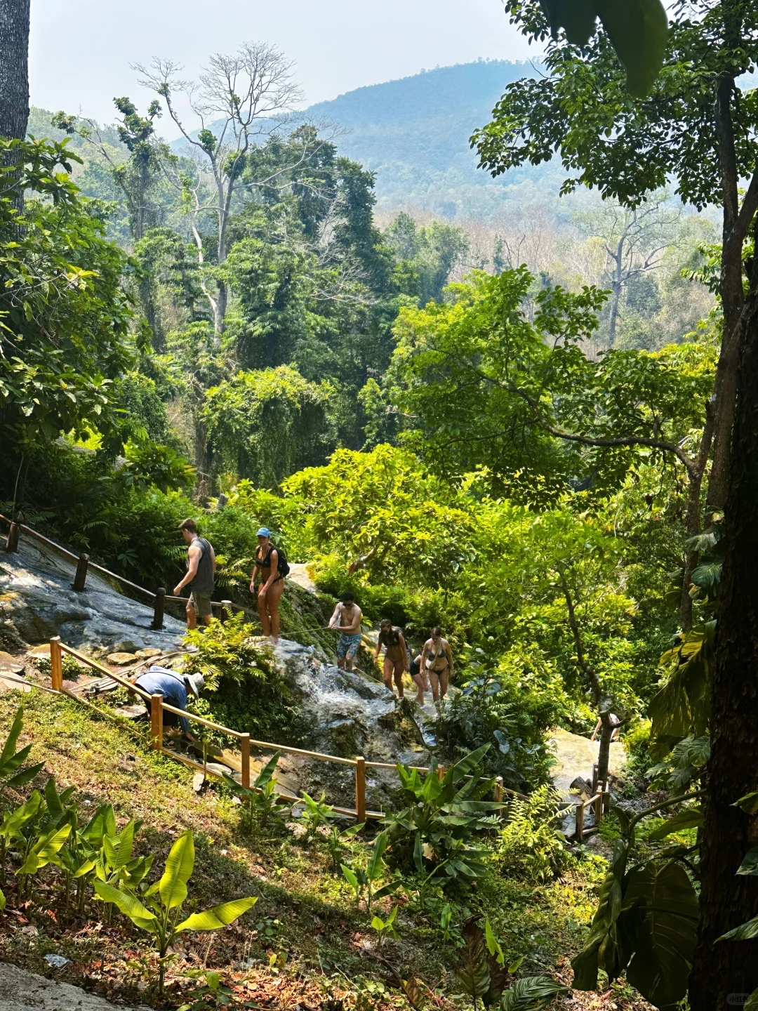 Chiang Mai-Tha Pae Gate, Straw Street, Sticky Waterfall, Tiger Park, Alice Coffee, Elephant Cafe, Chiang Mai University Backdoor Night Market-Jazz Bar