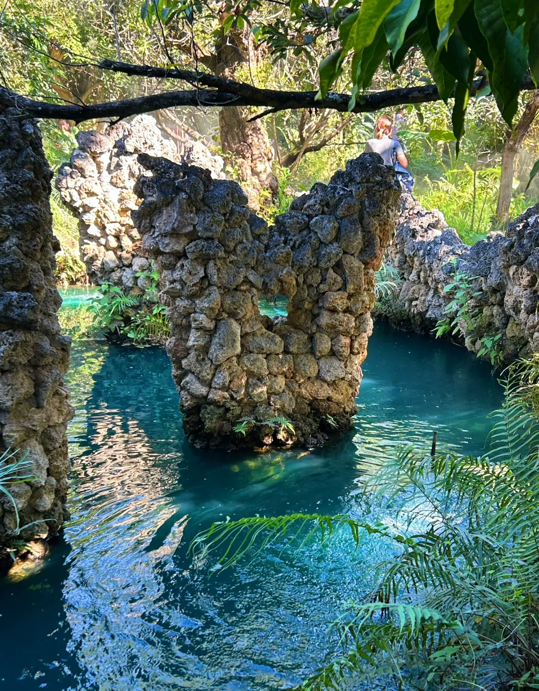 Chiang Mai-Dantewada Land of angles Waterfall Park & Phra Maha Dhatu Nabhamethanidol and Nabhapolbhumisiri