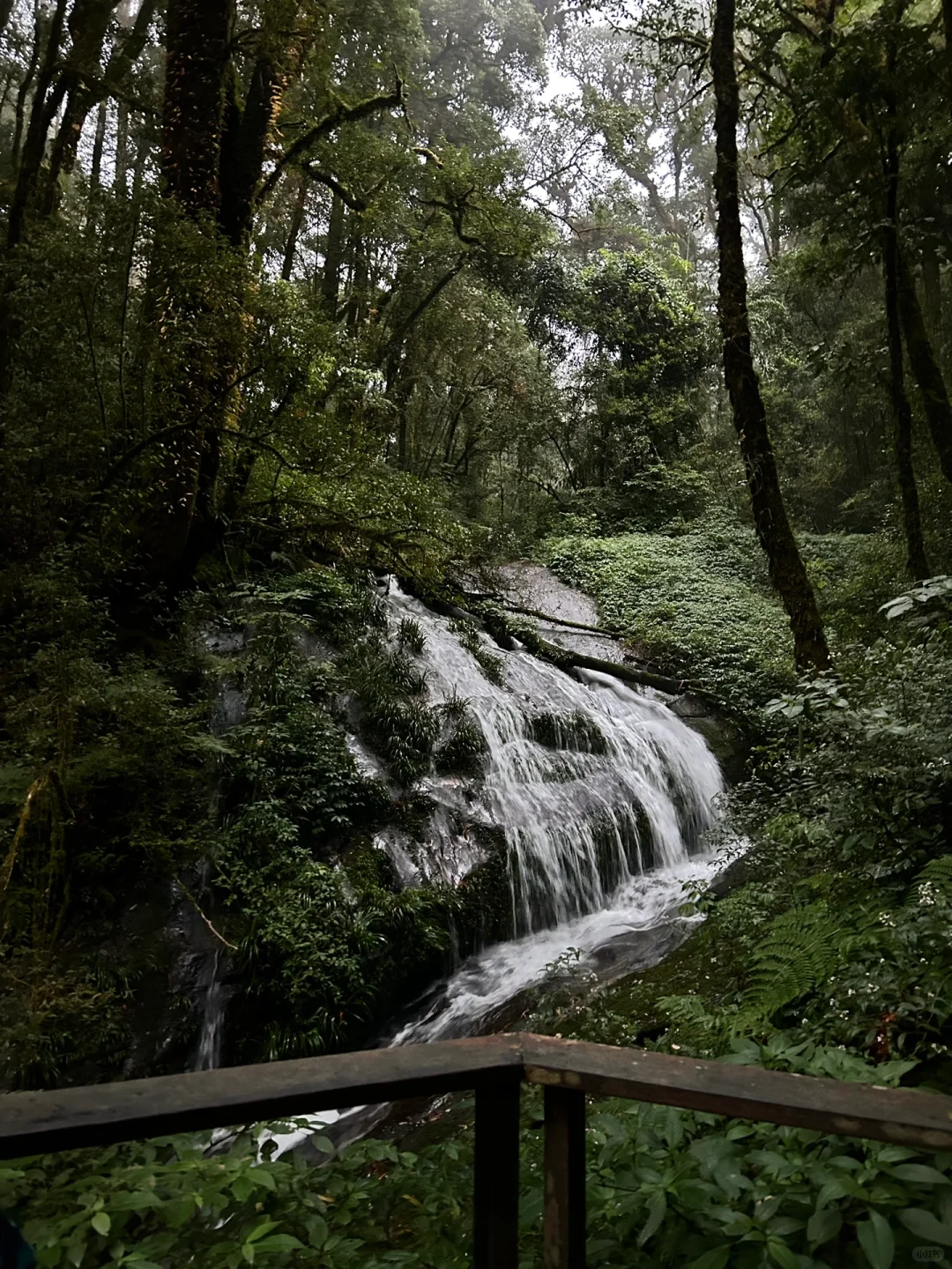 Chiang Mai-Dantewada Land of angles Waterfall Park & Phra Maha Dhatu Nabhamethanidol and Nabhapolbhumisiri