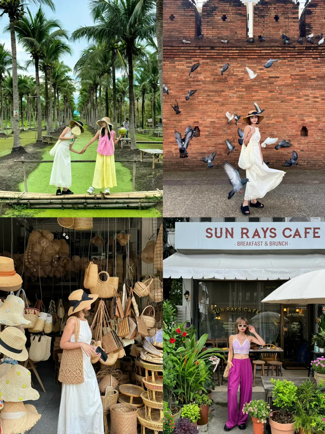 Chiang Mai-White Market & JJ Market, Coconut Grove Market, North Gate, Ningman No. 1 Night Market