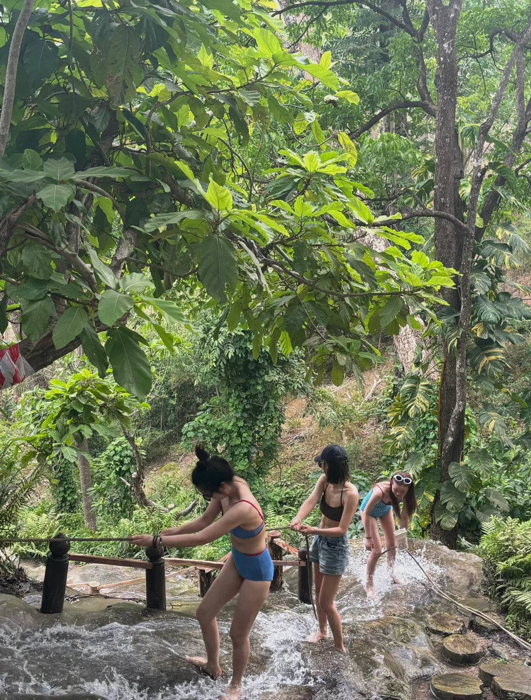 Chiang Mai-Sticky Waterfall: A free and fun place to visit in Chiang Mai
