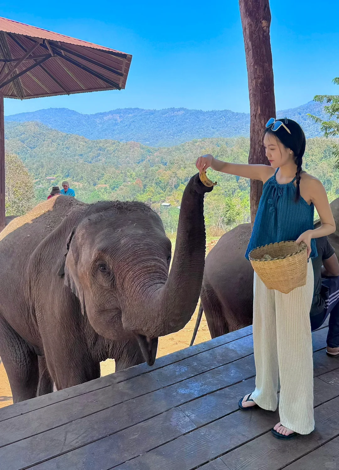 Chiang Mai-Elefin Farm & Cafe，Coconut Market，Fern Forest Cafe，Fahtara coffee，Taupe door