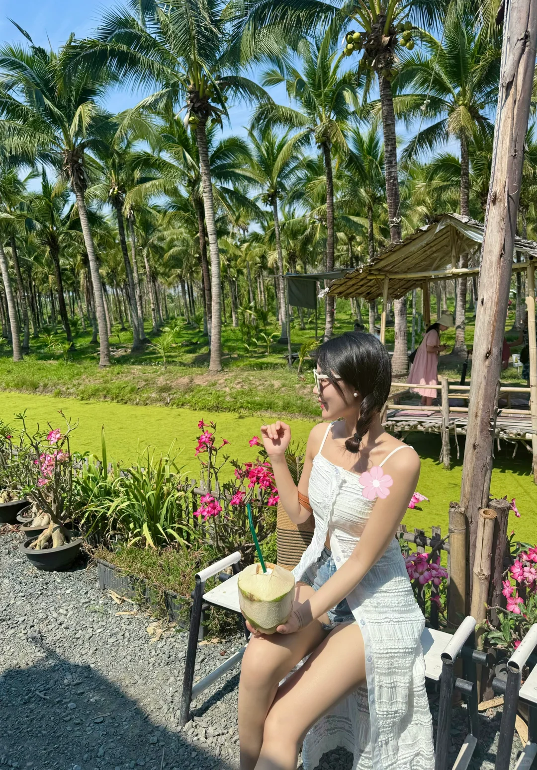 Chiang Mai-Elefin Farm & Cafe，Coconut Market，Fern Forest Cafe，Fahtara coffee，Taupe door