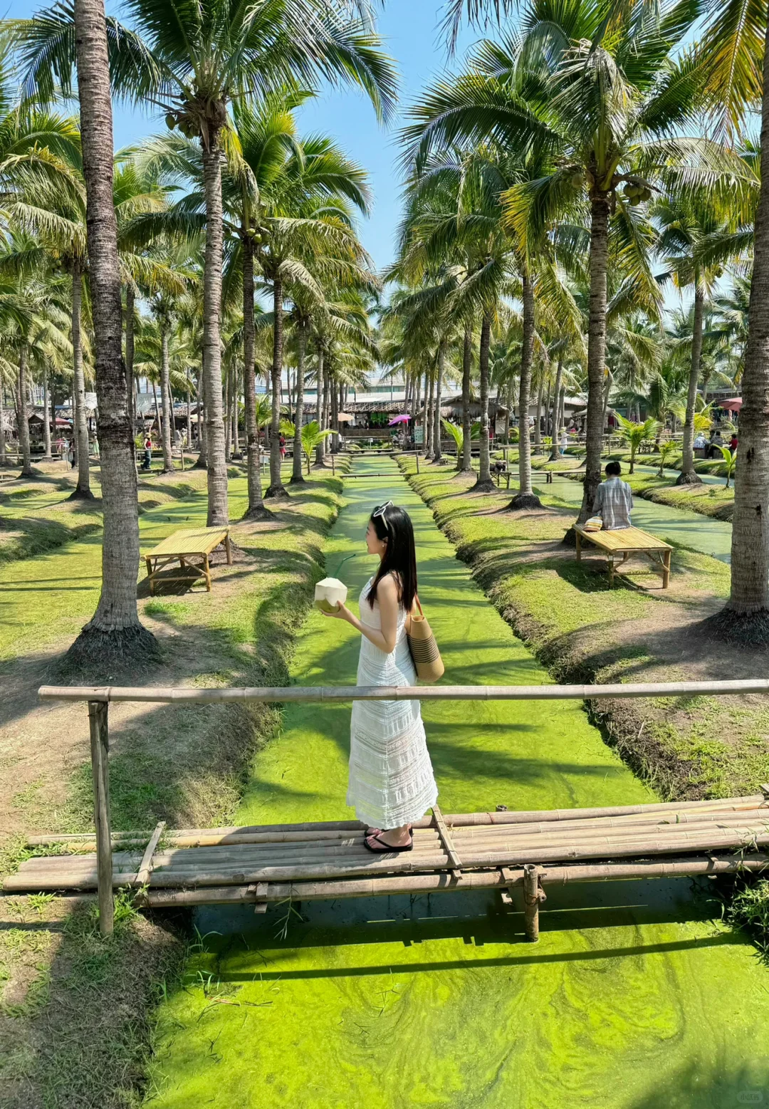 Chiang Mai-Elefin Farm & Cafe，Coconut Market，Fern Forest Cafe，Fahtara coffee，Taupe door
