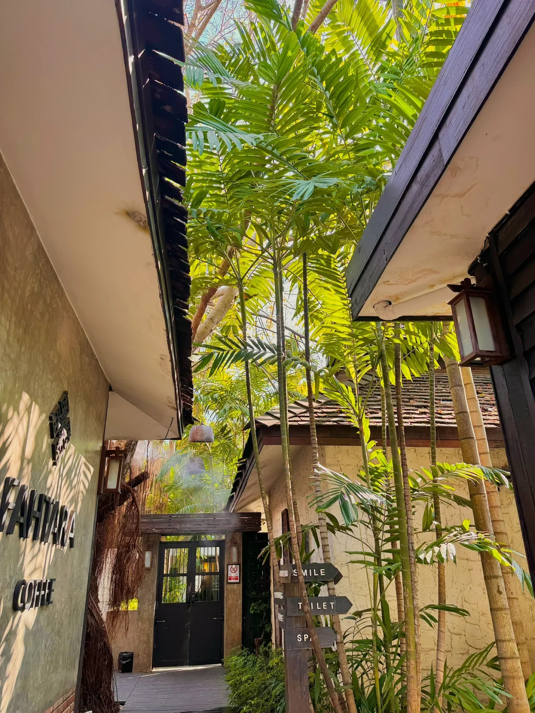 Chiang Mai-Elefin Farm & Cafe，Coconut Market，Fern Forest Cafe，Fahtara coffee，Taupe door