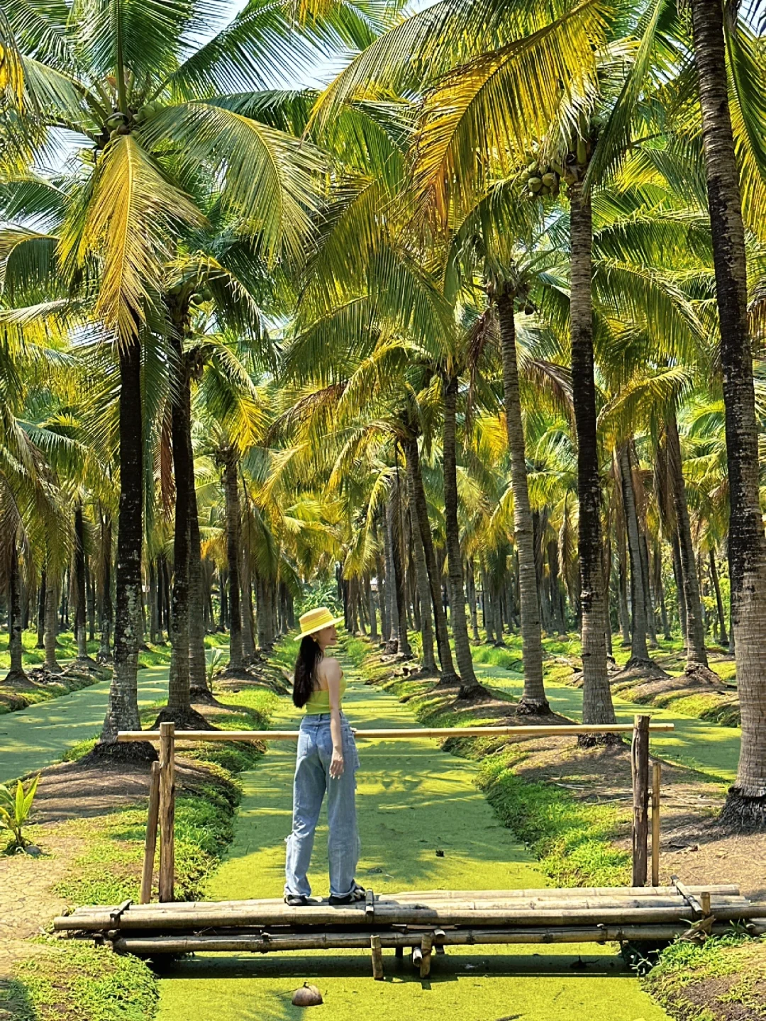 Chiang Mai-The frequently asked guide to Chiang Mai❗️13 photo spots that are beyond the list?