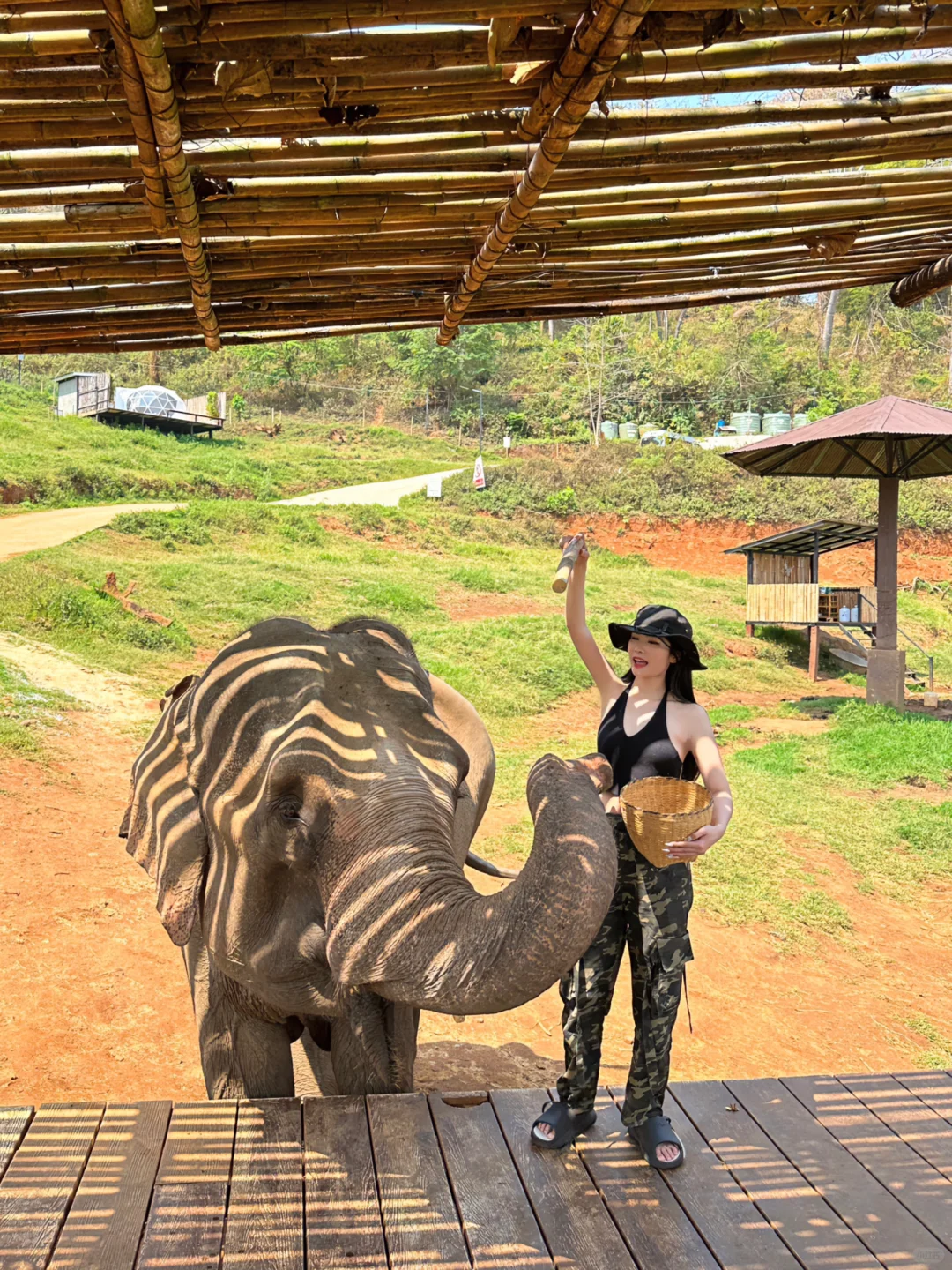 Chiang Mai-The frequently asked guide to Chiang Mai❗️13 photo spots that are beyond the list?