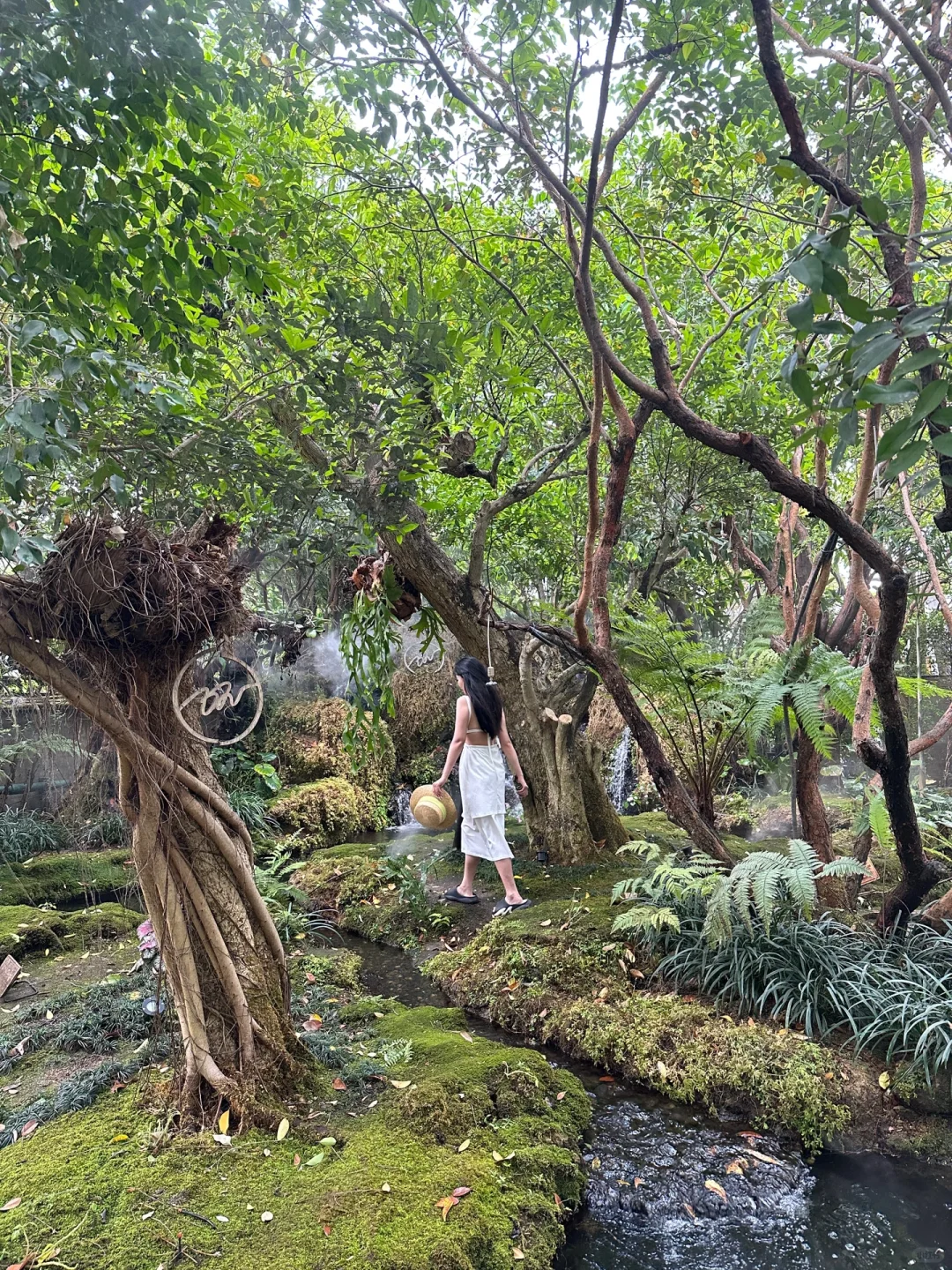Chiang Mai-The frequently asked guide to Chiang Mai❗️13 photo spots that are beyond the list?