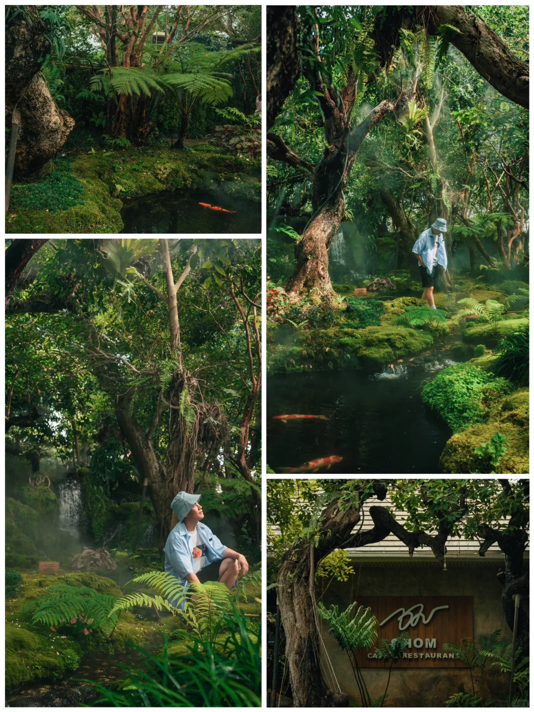 Chiang Mai-Went to Tyrande 10 times! My favorite is Chiang Mai ❤️ I recommend staying at the Maladee Rendezvous Hotel