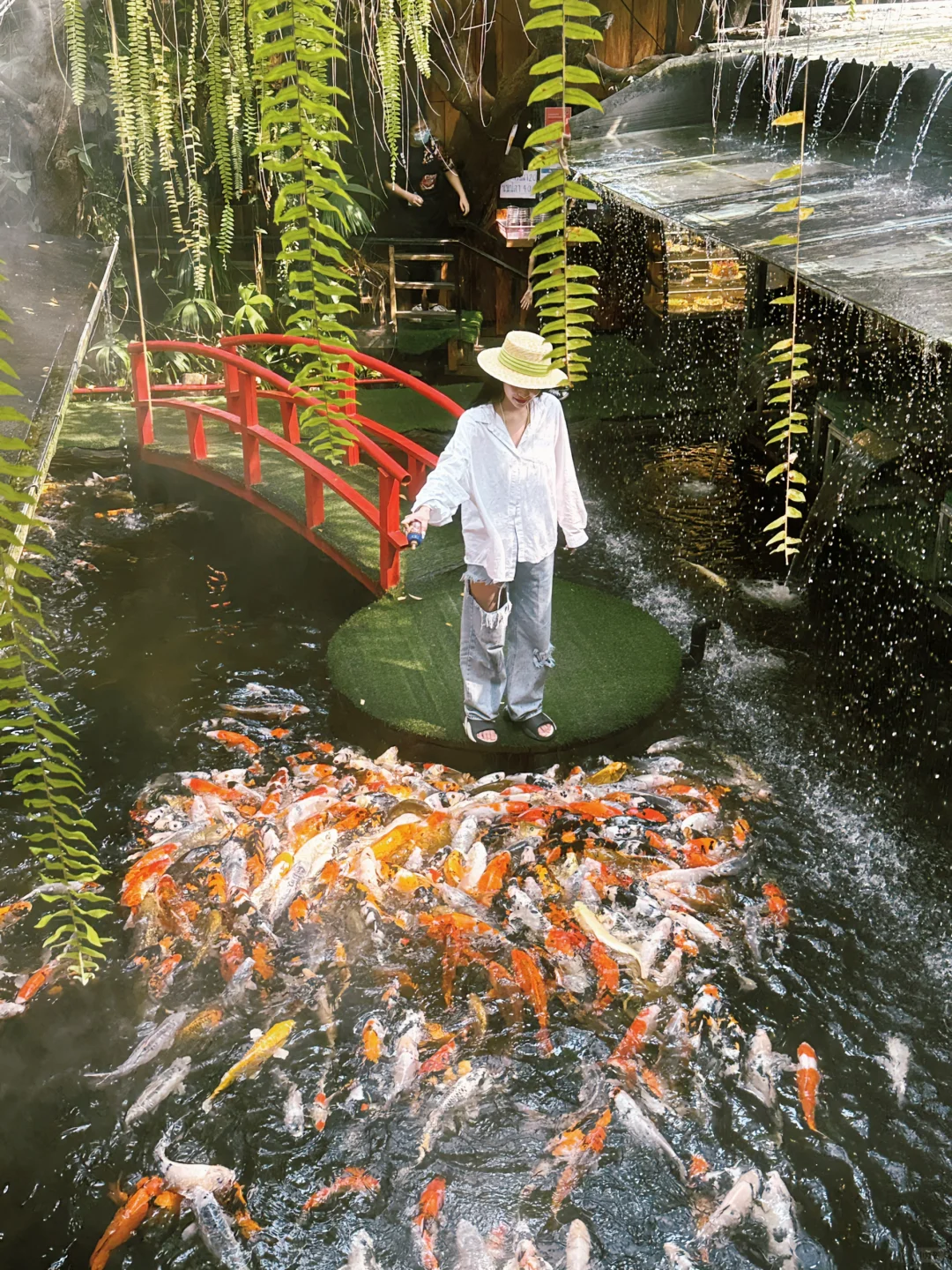Chiang Mai-The frequently asked guide to Chiang Mai❗️13 photo spots that are beyond the list?