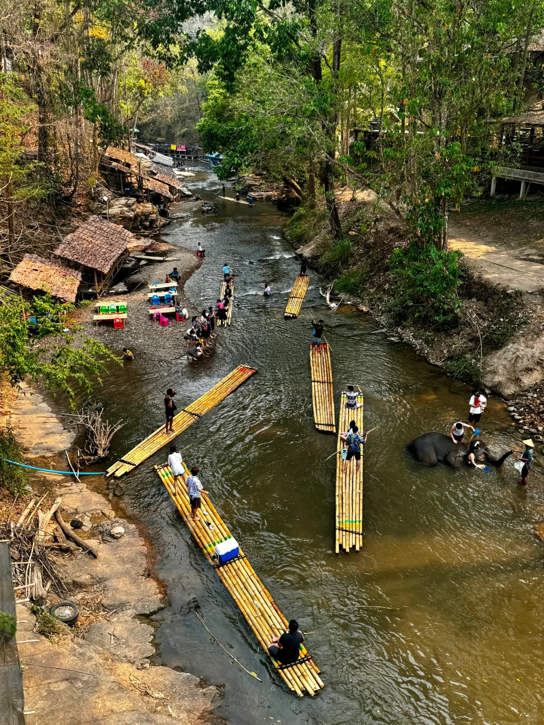 Chiang Mai-How to enjoy the Elephant Camp and Bamboo Rafting in Chiang Mai? This is enough