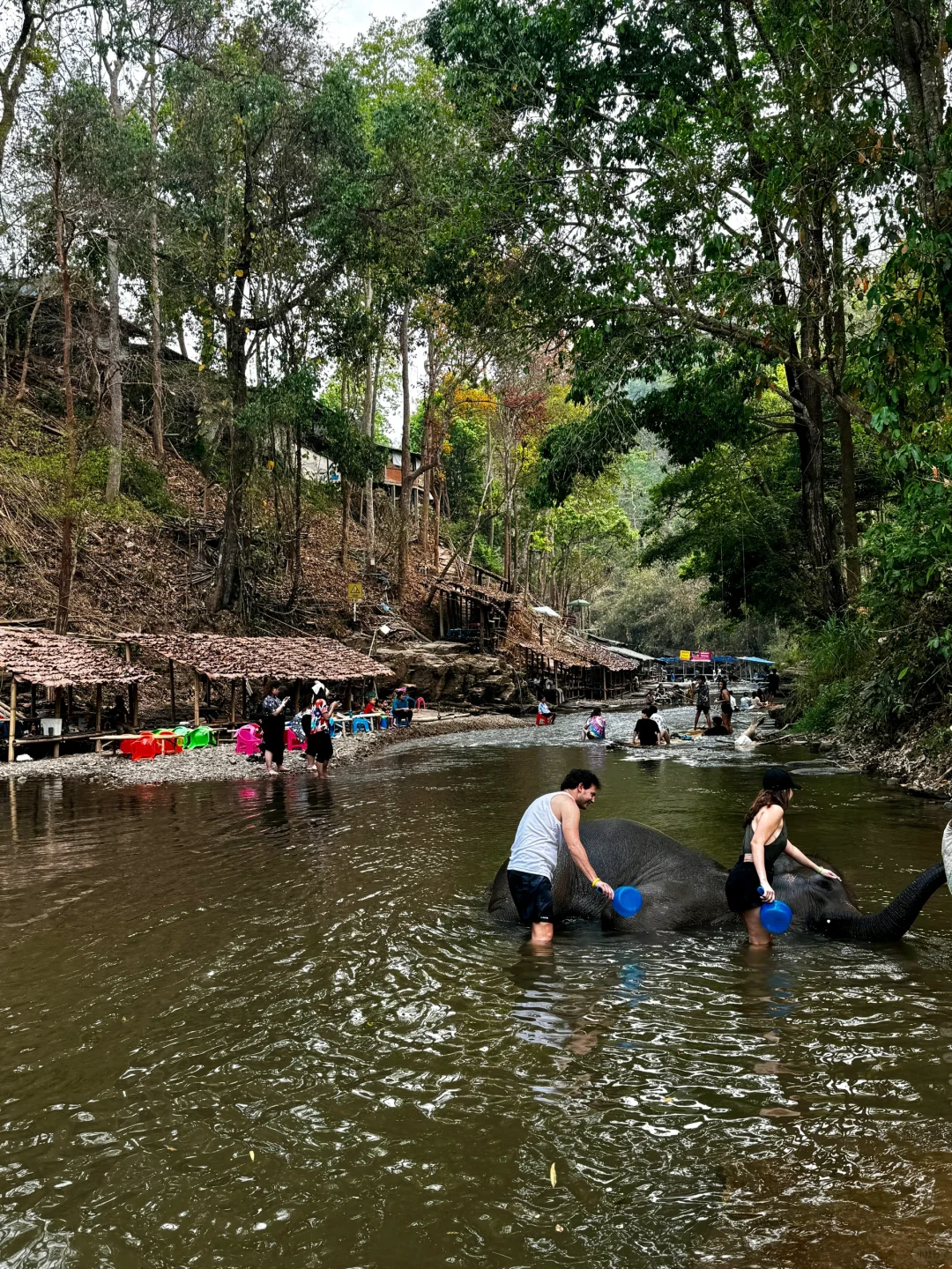 Chiang Mai-How to enjoy the Elephant Camp and Bamboo Rafting in Chiang Mai? This is enough