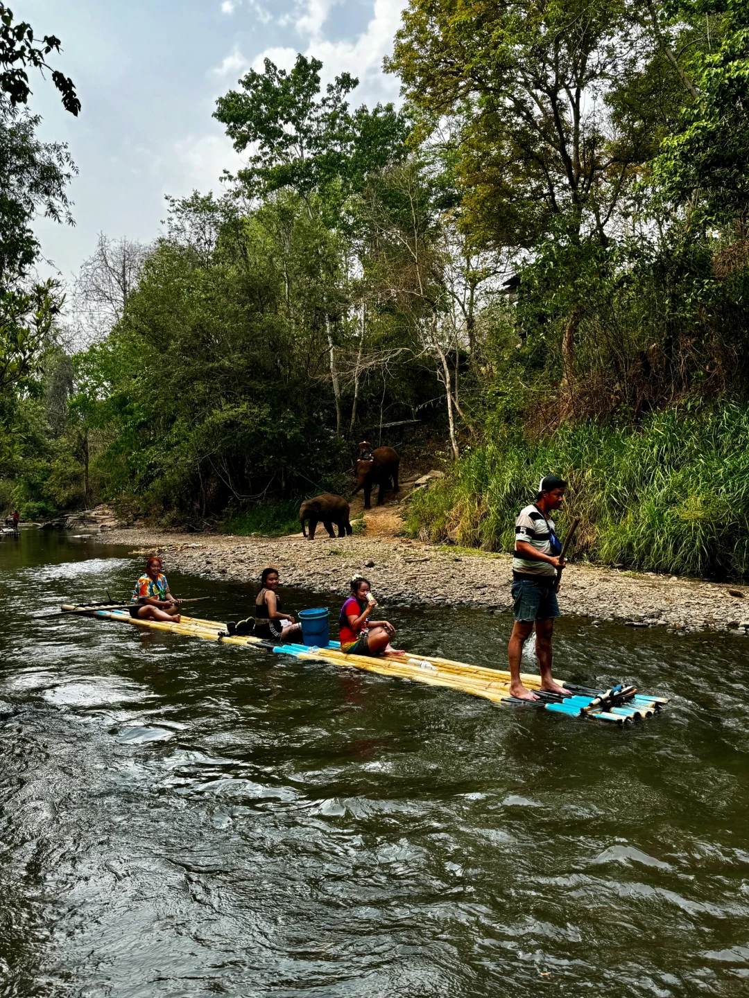 Chiang Mai-How to enjoy the Elephant Camp and Bamboo Rafting in Chiang Mai? This is enough