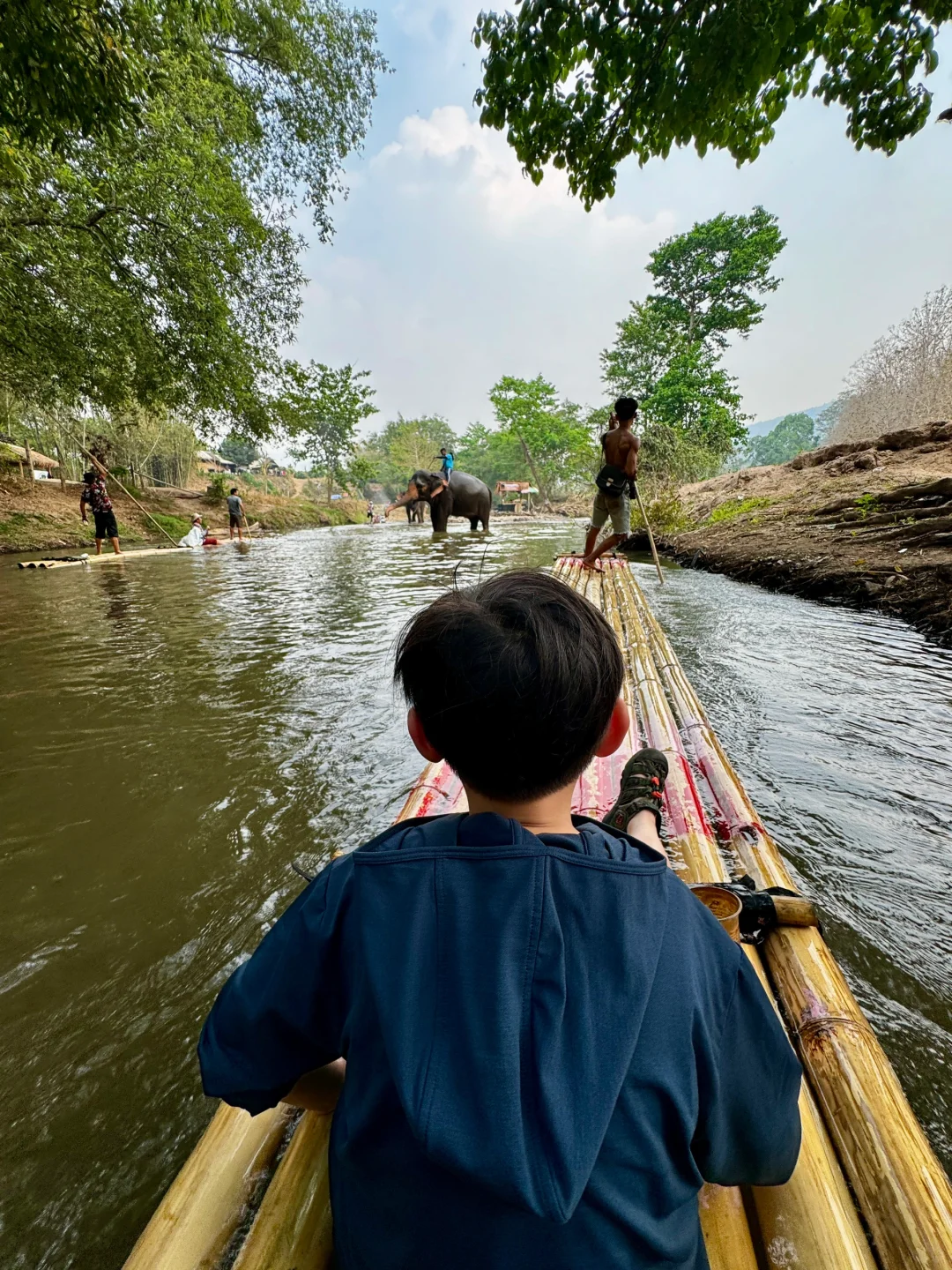 Chiang Mai-How to enjoy the Elephant Camp and Bamboo Rafting in Chiang Mai? This is enough