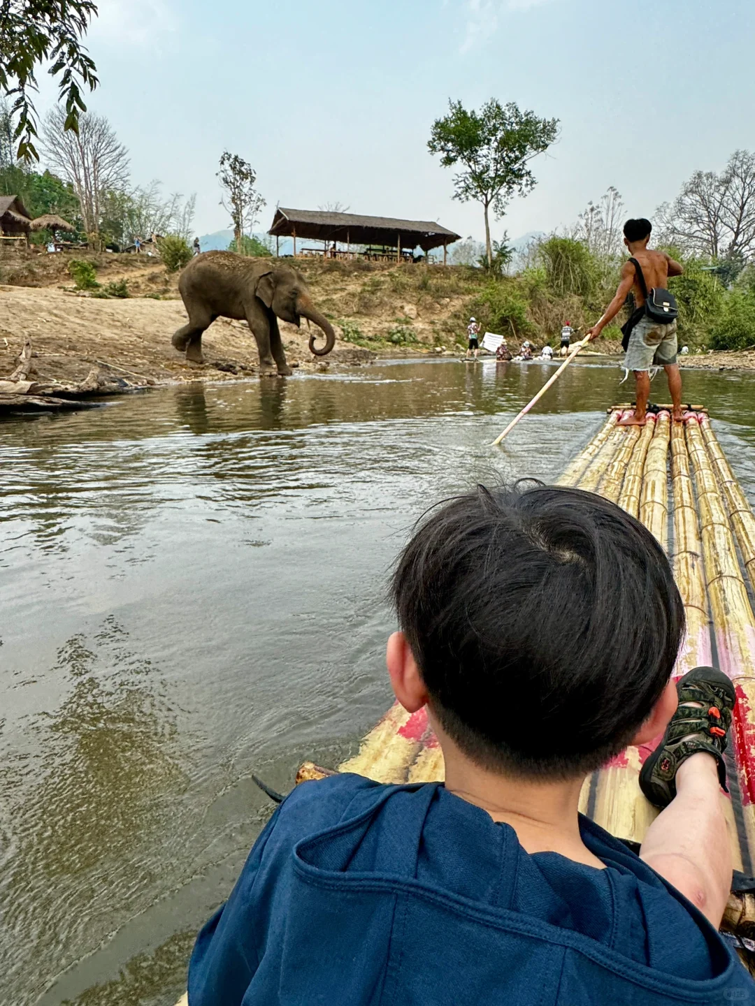 Chiang Mai-How to enjoy the Elephant Camp and Bamboo Rafting in Chiang Mai? This is enough