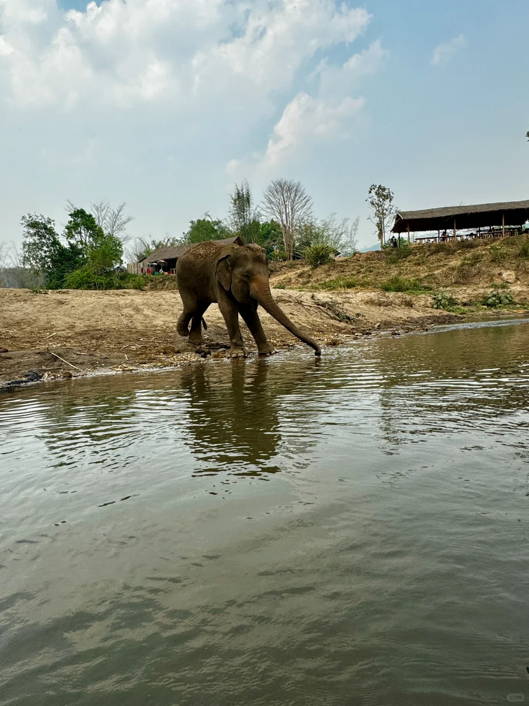 Chiang Mai-How to enjoy the Elephant Camp and Bamboo Rafting in Chiang Mai? This is enough