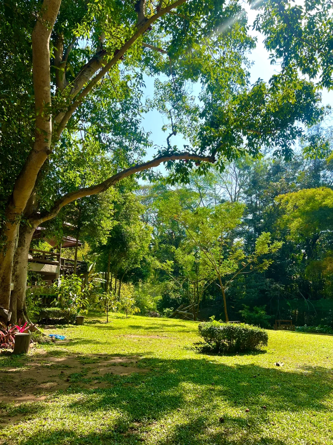 Chiang Mai-Cave, waterfall, little house, hot spring | Chiang Mai Recommend 4 niche travel experiences