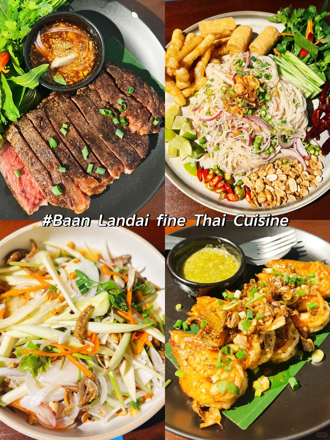 Chiang Mai-Tha Pae Gate, Straw Street, Sticky Waterfall, Tiger Park, Alice Coffee, Elephant Cafe, Chiang Mai University Backdoor Night Market-Jazz Bar