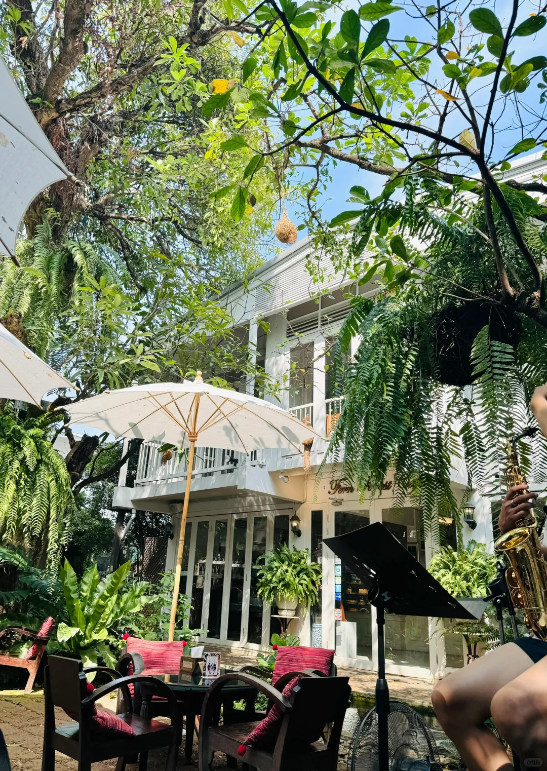 Chiang Mai-Elefin Farm & Cafe，Coconut Market，Fern Forest Cafe，Fahtara coffee，Taupe door
